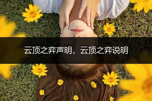 云顶之弈声明，云顶之弈说明