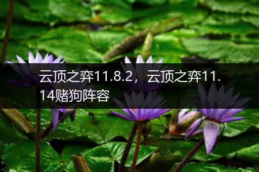 云顶之弈11.8.2，云顶之弈11.14赌狗阵容