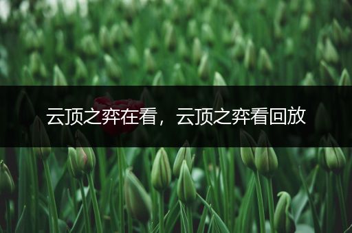 云顶之弈在看，云顶之弈看回放