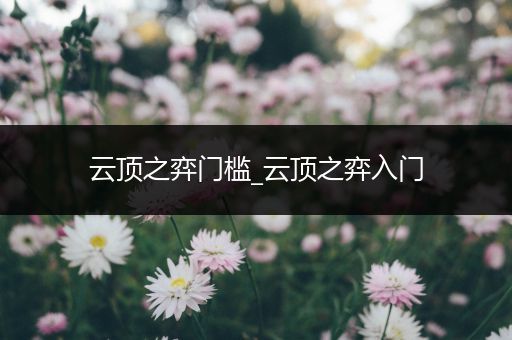 云顶之弈门槛_云顶之弈入门