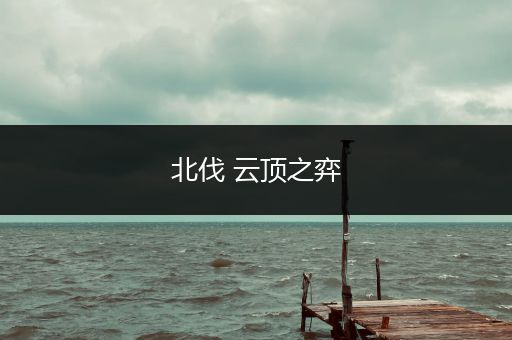 北伐 云顶之弈