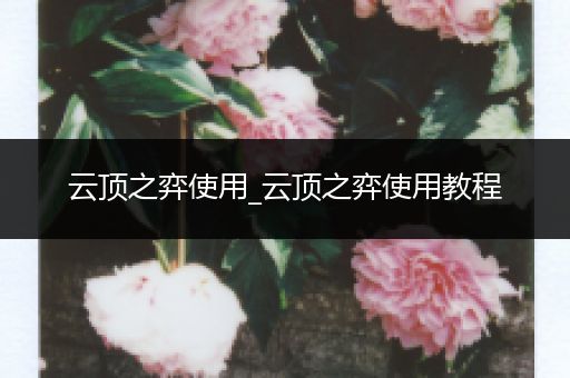 云顶之弈使用_云顶之弈使用教程