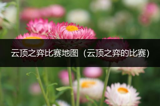 云顶之弈比赛地图（云顶之弈的比赛）