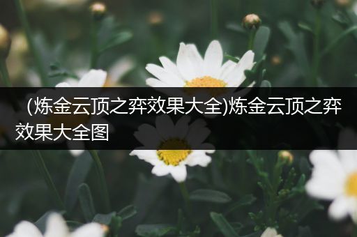 （炼金云顶之弈效果大全)炼金云顶之弈效果大全图