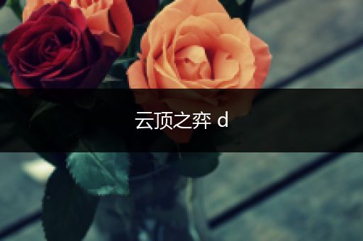 云顶之弈 d