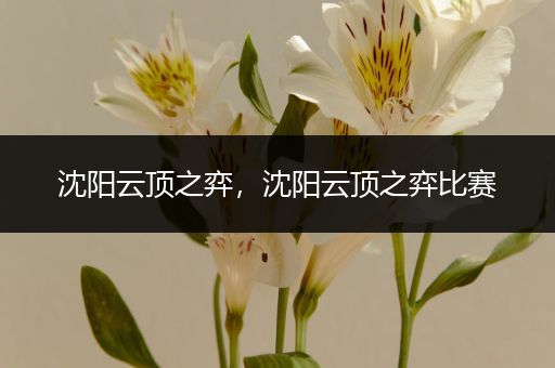 沈阳云顶之弈，沈阳云顶之弈比赛