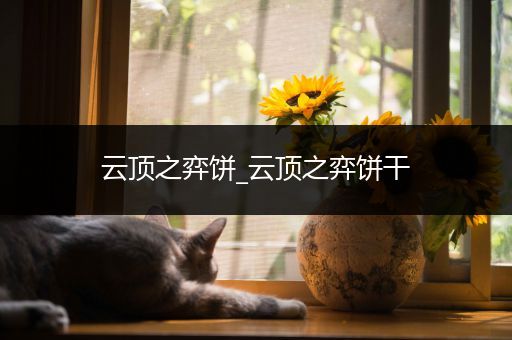 云顶之弈饼_云顶之弈饼干