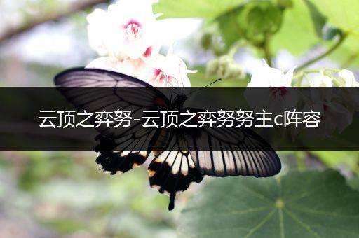 云顶之弈努-云顶之弈努努主c阵容