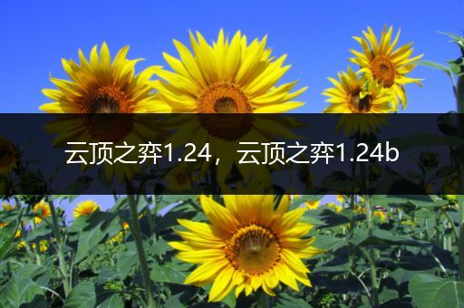 云顶之弈1.24，云顶之弈1.24b