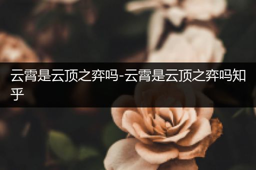 云霄是云顶之弈吗-云霄是云顶之弈吗知乎
