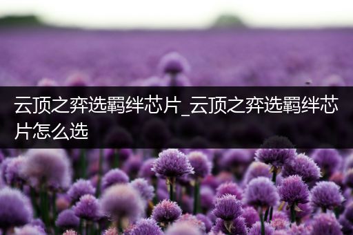 云顶之弈选羁绊芯片_云顶之弈选羁绊芯片怎么选