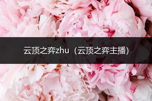 云顶之弈zhu（云顶之弈主播）
