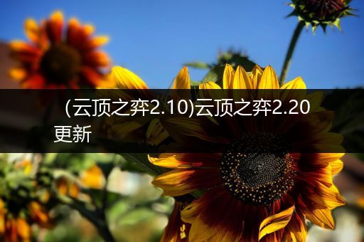 （云顶之弈2.10)云顶之弈2.20更新