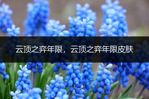 云顶之弈年限，云顶之弈年限皮肤