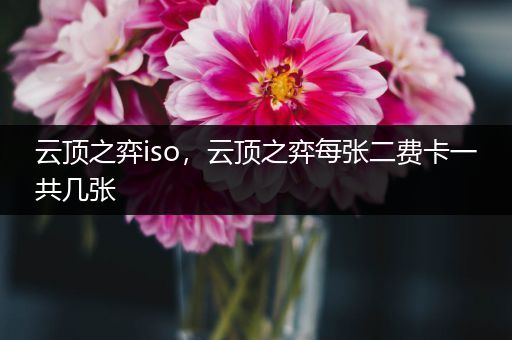 云顶之弈iso，云顶之弈每张二费卡一共几张