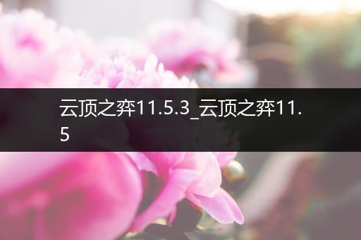 云顶之弈11.5.3_云顶之弈11.5