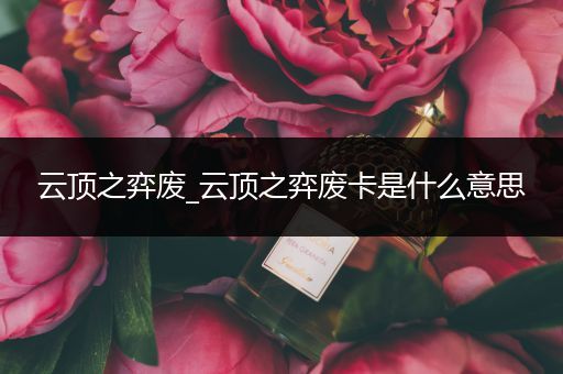 云顶之弈废_云顶之弈废卡是什么意思