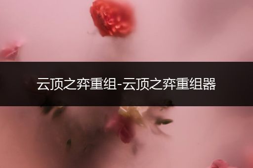 云顶之弈重组-云顶之弈重组器
