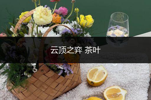 云顶之弈 茶叶