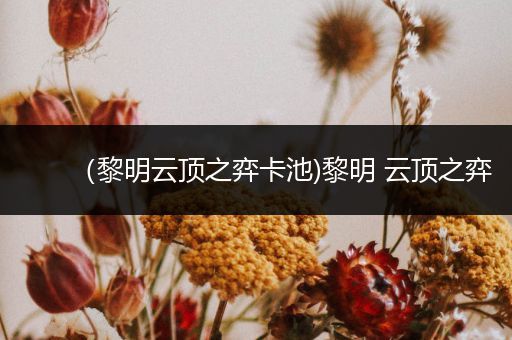 （黎明云顶之弈卡池)黎明 云顶之弈