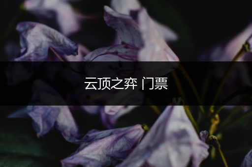 云顶之弈 门票