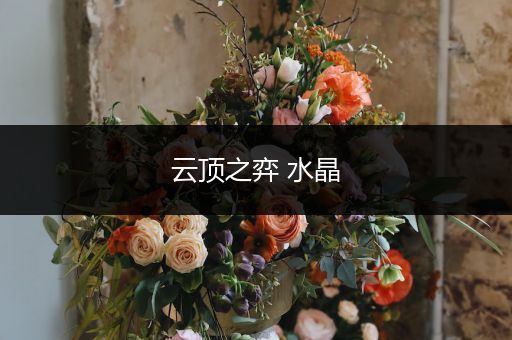 云顶之弈 水晶