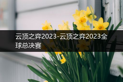 云顶之弈2023-云顶之弈2023全球总决赛
