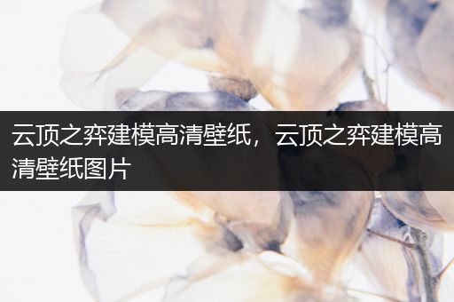 云顶之弈建模高清壁纸，云顶之弈建模高清壁纸图片