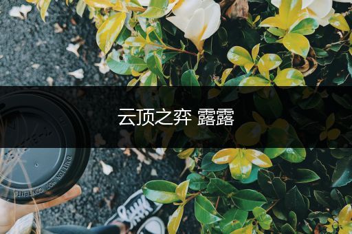 云顶之弈 露露
