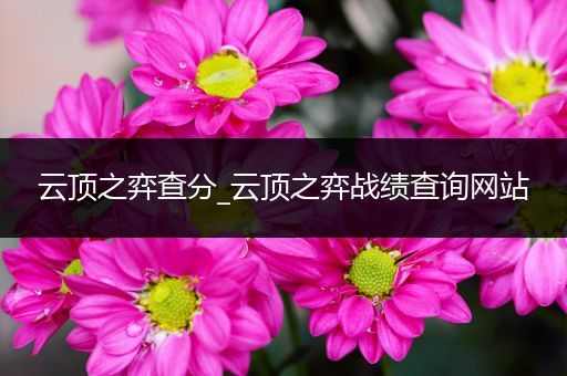 云顶之弈查分_云顶之弈战绩查询网站
