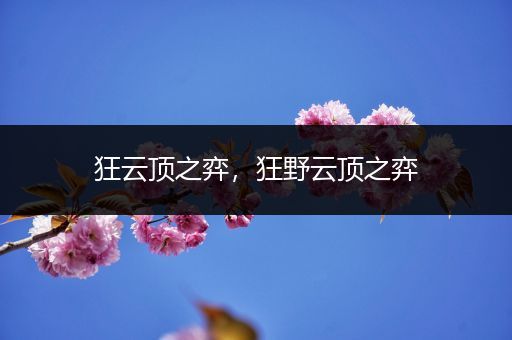 狂云顶之弈，狂野云顶之弈