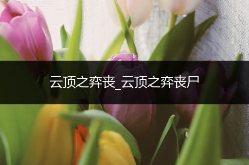 云顶之弈丧_云顶之弈丧尸