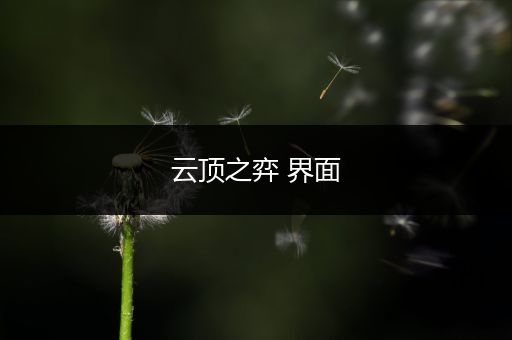 云顶之弈 界面