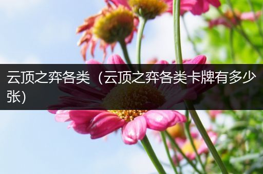 云顶之弈各类（云顶之弈各类卡牌有多少张）