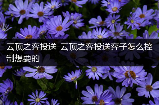 云顶之弈投送-云顶之弈投送弈子怎么控制想要的