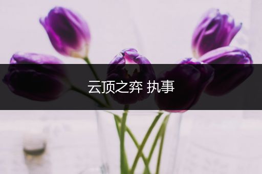 云顶之弈 执事