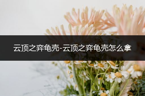 云顶之弈龟壳-云顶之弈龟壳怎么拿