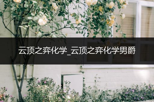 云顶之弈化学_云顶之弈化学男爵