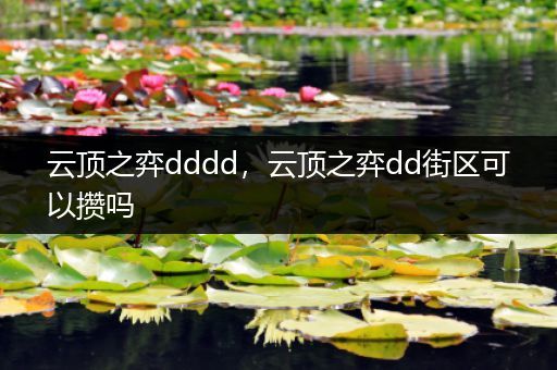 云顶之弈dddd，云顶之弈dd街区可以攒吗