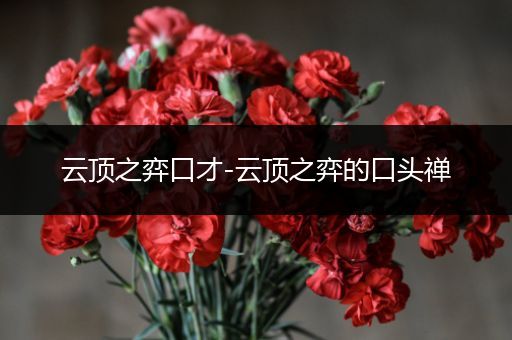 云顶之弈口才-云顶之弈的口头禅