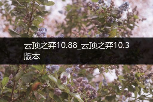 云顶之弈10.88_云顶之弈10.3版本