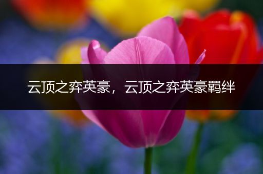 云顶之弈英豪，云顶之弈英豪羁绊