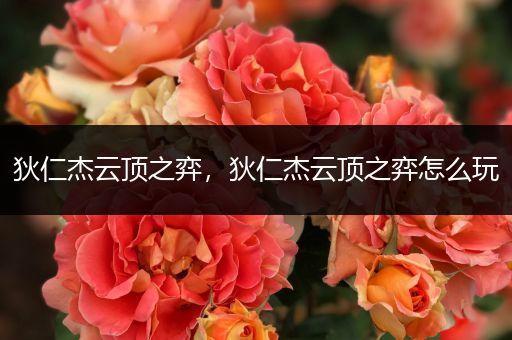 狄仁杰云顶之弈，狄仁杰云顶之弈怎么玩