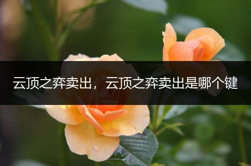 云顶之弈卖出，云顶之弈卖出是哪个键