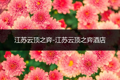 江苏云顶之弈-江苏云顶之弈酒店