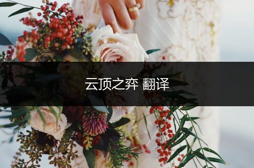 云顶之弈 翻译