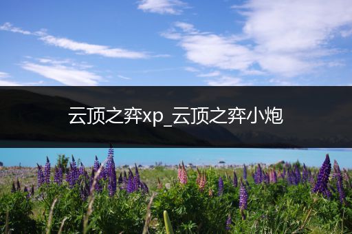 云顶之弈xp_云顶之弈小炮