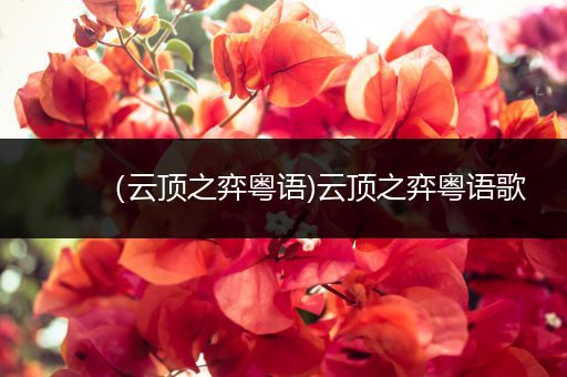 （云顶之弈粤语)云顶之弈粤语歌