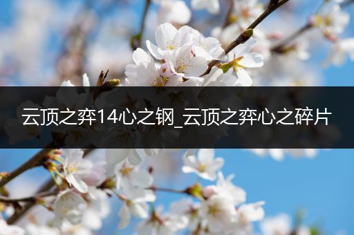 云顶之弈14心之钢_云顶之弈心之碎片