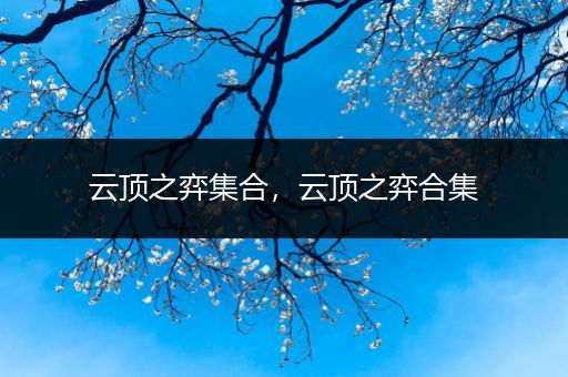 云顶之弈集合，云顶之弈合集